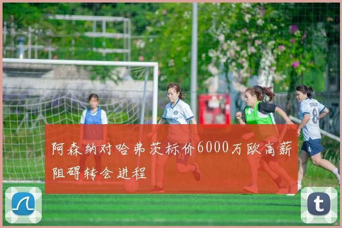 阿森纳对哈弗茨标价6000万欧高薪阻碍转会进程