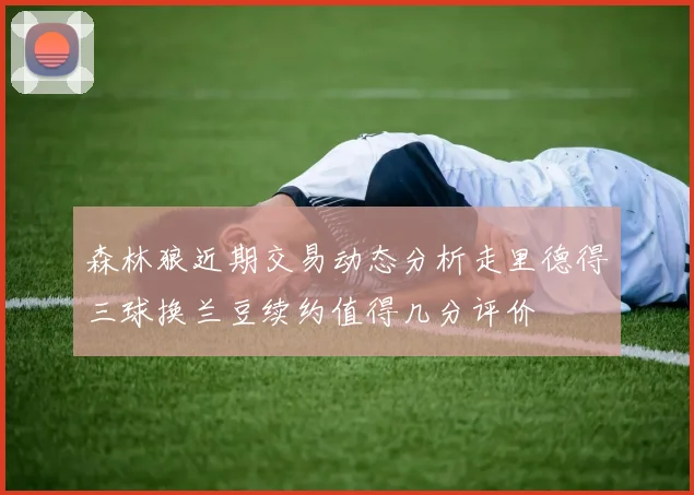 森林狼近期交易动态分析走里德得三球换兰豆续约值得几分评价