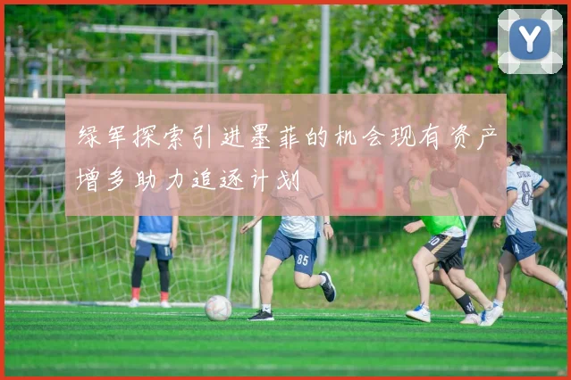 绿军探索引进墨菲的机会现有资产增多助力追逐计划